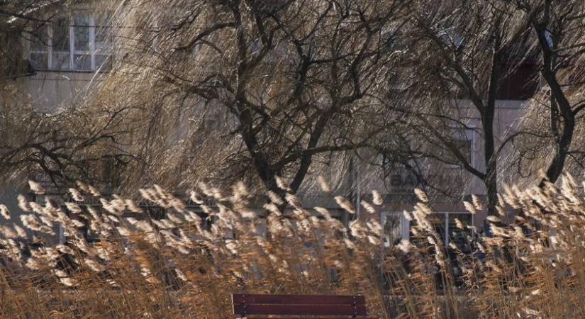 Sarkvidéki szelek uralják a napot: 5 vármegyére adtak ki riasztást