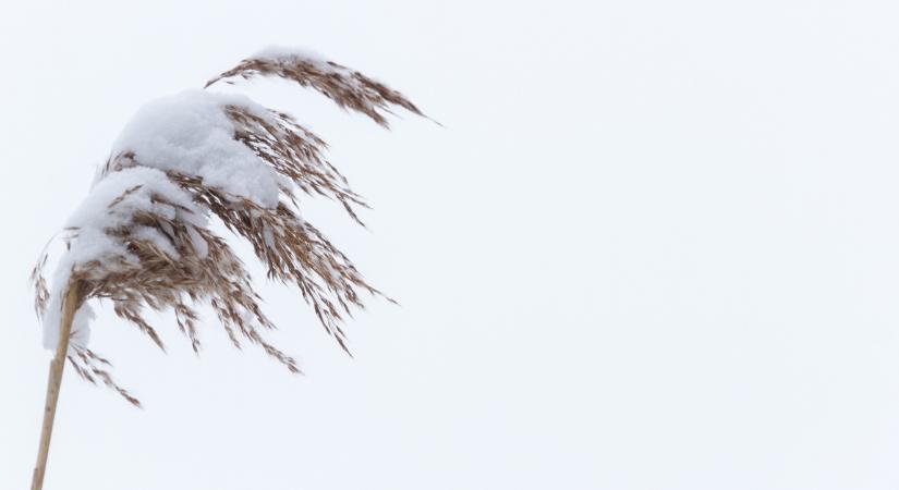 5 vármegyére frissítették a riasztást: brutális idő vár ránk