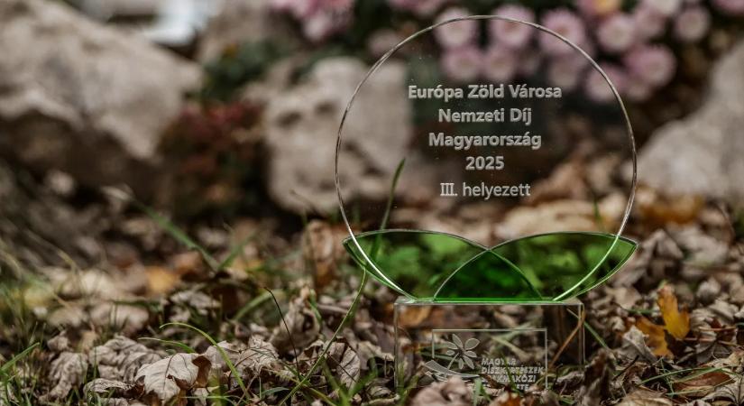 Mindannyiunk büszkesége a Városi Farm sikere