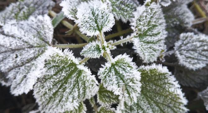 Hideg szél süvít: itt a fagyos levegő első hulláma