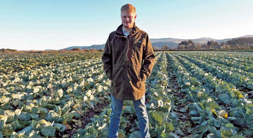 Olyan tudást vitt haza, hogy harmadával növelte a farm hozamát
