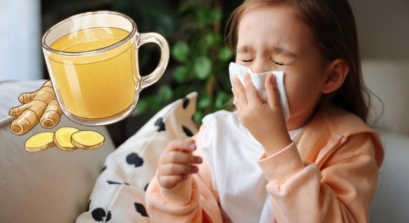 Lehet gyömbérrel gyógyítani a náthás gyereket?