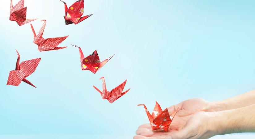 Egy 14 éves fiú 25 ezer dollárt nyert origami kutatásával