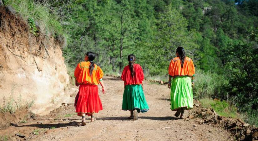 Ez a nő 14 órát gyalogolt a startig, majd megnyerte az ultramaratont - Papucsban futotta le a távot