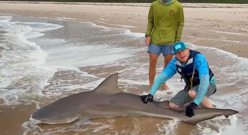 Hatalmas cápát fogott, majd kórházba került a magyar horgász – videó