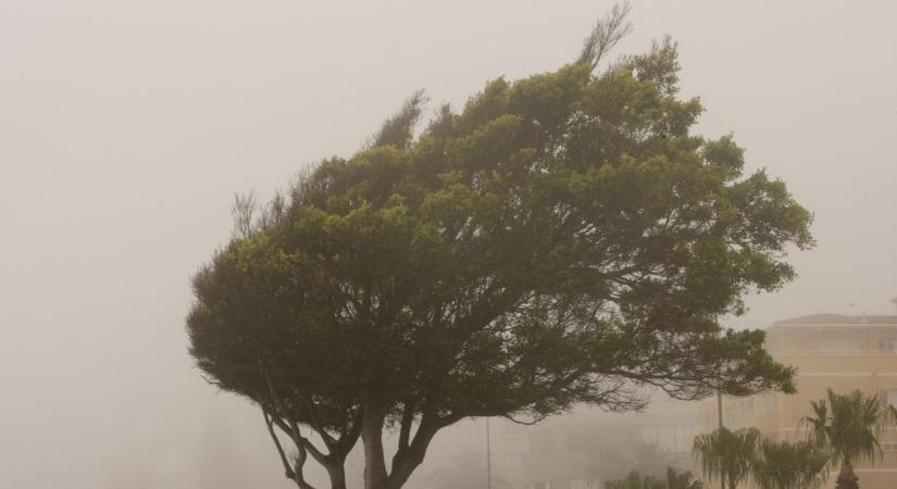 Kemény időjárás csaphat le ma itthon: érvénybe lépett a figyelmeztetés