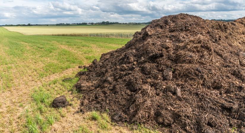 Elképesztő kutatás látott napvilágot: erre senki sem gondolt volna