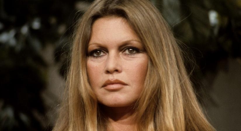 Brigitte Bardot élete képekben: szerelem, botrányok és újrakezdés – Miért hagyta ott a filmvilágot a csúcson?