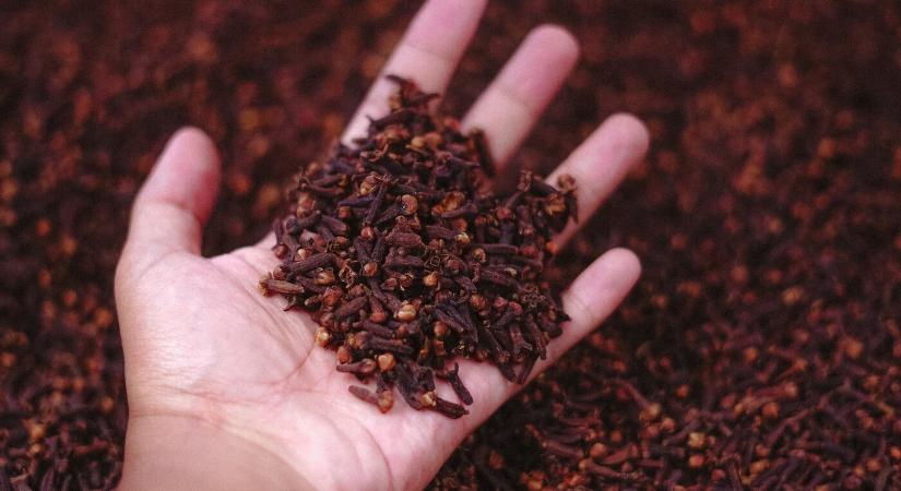Allergiát idézhetnek elő a karácsonyi ünnepek fűszerei