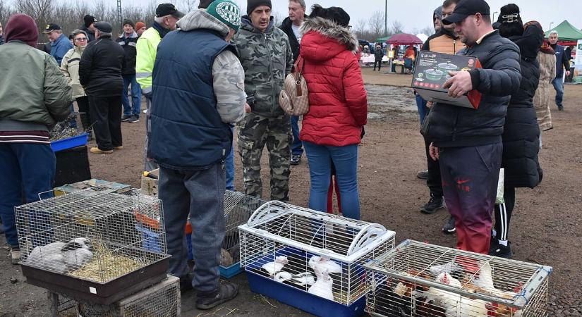 Közel harminc éve rendeztek vásárt a településen, most felélesztik – galériával