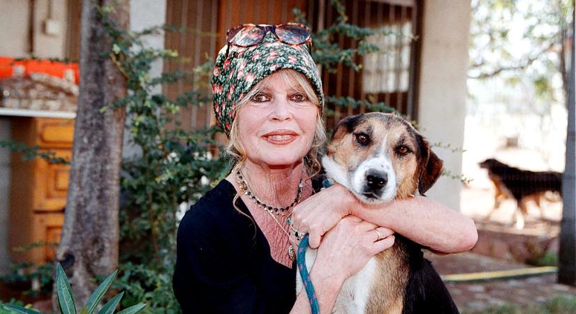 Meghalt Brigitte Bardot, a francia film és állatvédelem ikonja