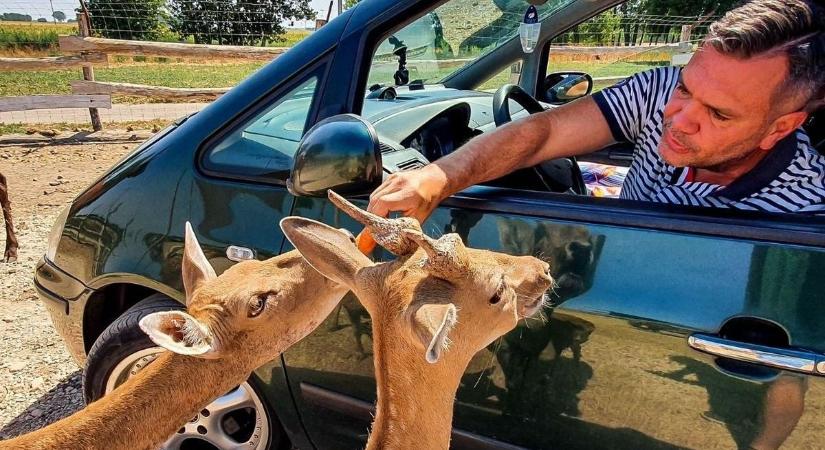 Már a 150 ezres látogatószám közelében egy európai szinten is egyedi vidéki élménypark