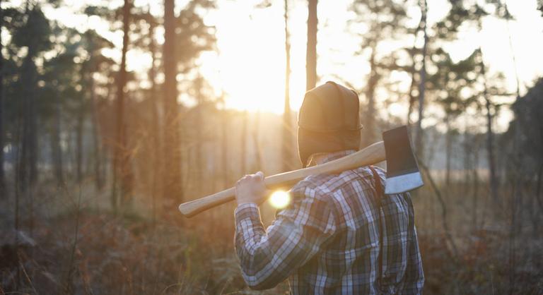 Király Farkas: Aki meghalt, de mégsem – avagy a Karamazán fatolvajai