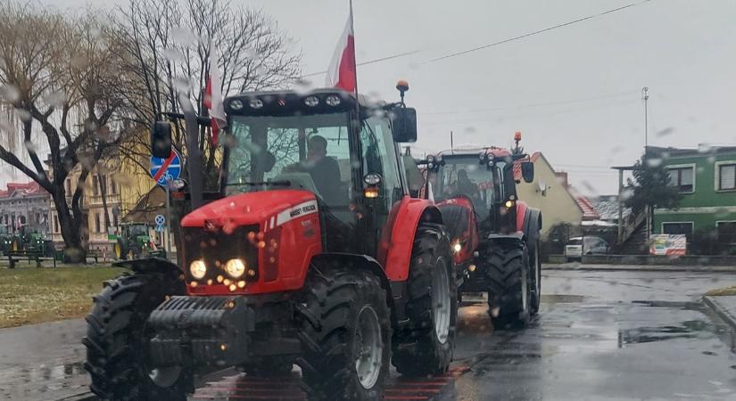 Eddig süket fülekre találtak, most újra tüntetnek a lengyel gazdák