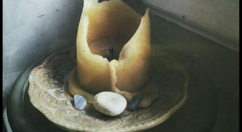 Meghalt Brigitte Bardot Francia filmikon, szexszimbólum és állatvédő legenda