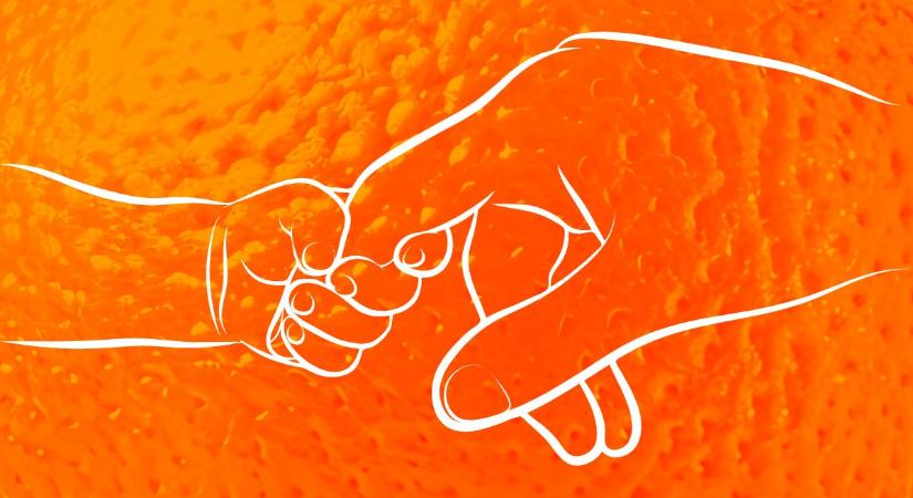 Sok fiatal vágyik arra, hogy az anyukája olyan büszke legyen rá, mint Orbán Viktorra az anyukája