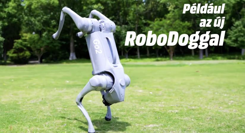 Pacsi a jövővel: robotkutya költözött a Westendbe