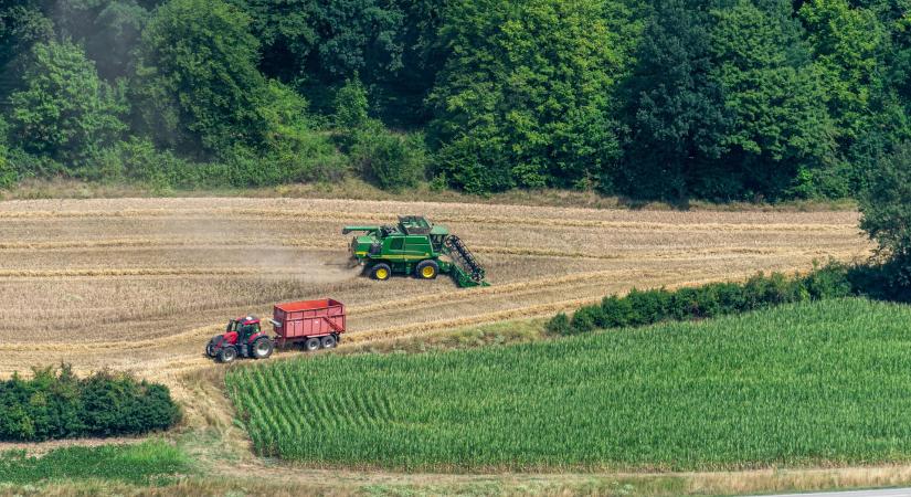 Hullámzó hozamok, növekvő költségek, egyre kockázatosabb a szántóföldi növénytermesztés