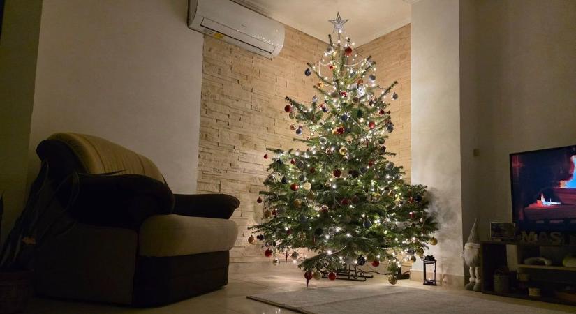 A visszafogottól a gazdagon díszítettig: íme olvasóink karácsonyfái (galéria)