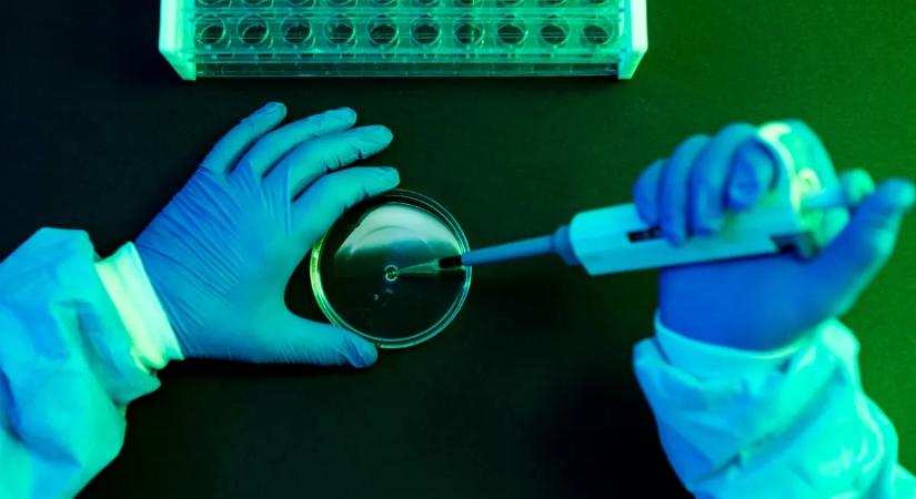 Szakértők figyelmeztetnek: 2026-ban világjárvány fenyeget, egy fertőző vírus kikerült ki az irányítás alól