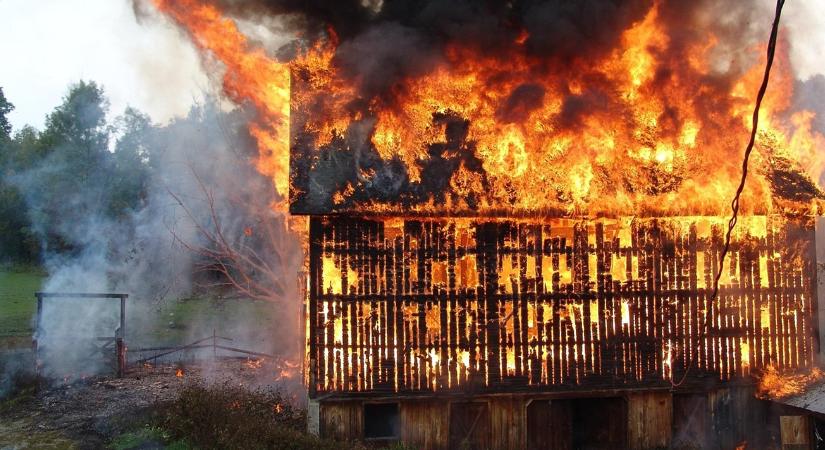 Szilveszteri rakéta égette le a farmot – megéri a szórakozás?