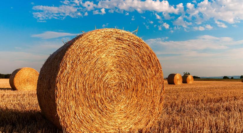 Heti hírösszefoglaló – Megjelent az agrárgazdaság 2024. évi eredményeit összegző zsebkönyv