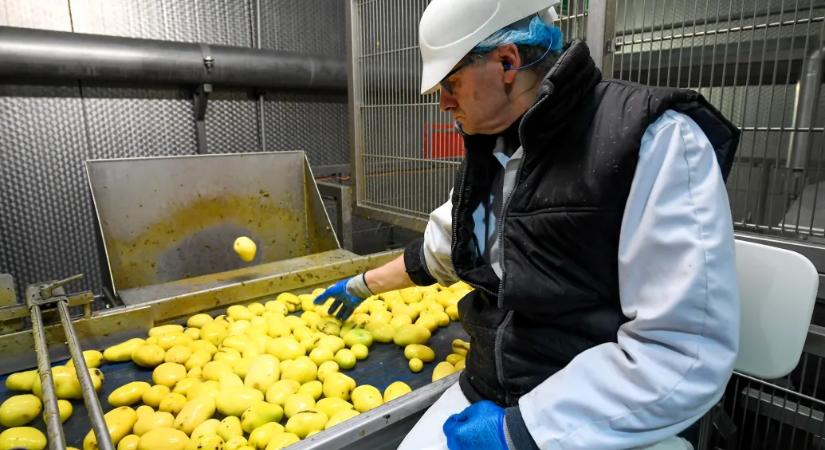 Dollármilliárdokat kerestek sültkrumpli árusításán, és most átharaphatják egymás torkát a pénzen