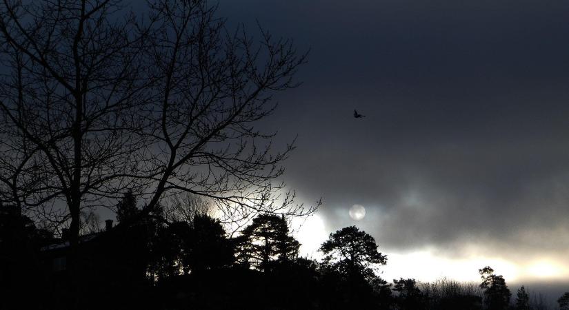 Szörnyű vihar tombol, már több a halálos áldozat az időjárás miatt Svédországban