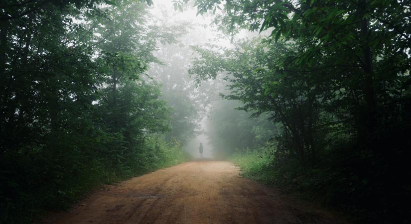 Tragikus véget ért a keresés: megtalálták a Mosonmagyaróvárról eltűnt férfit