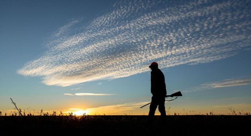 Jótékonysági vadászat Győr-Moson-Sopronban - 22 intézményhez juttatják el adományukat