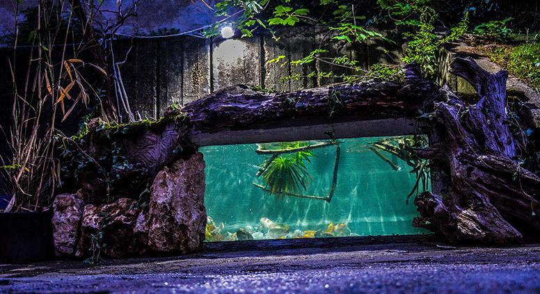 Fogytán az élelem, nincs látogató