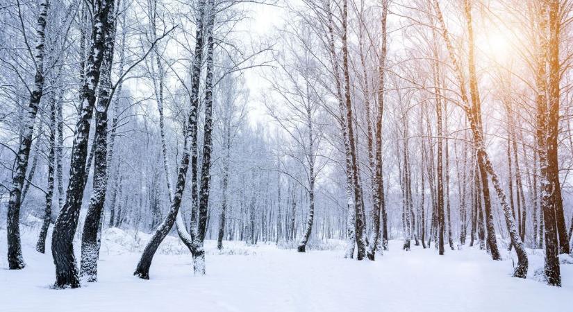 Szükség lehet a hólapátra: anticiklon, havazás, ilyen lesz az időjárás a jövő héten