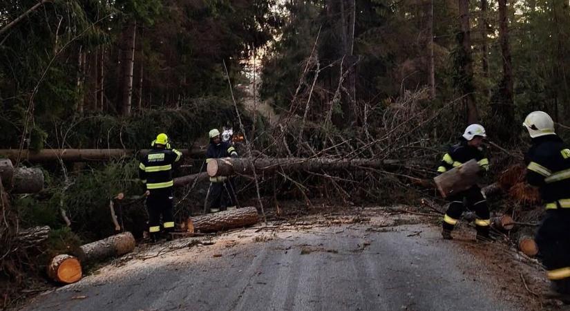 Tombol a Johannes-ciklon: Skandináviában hárman meghaltak, Szlovákiában fákat csavar ki a szél