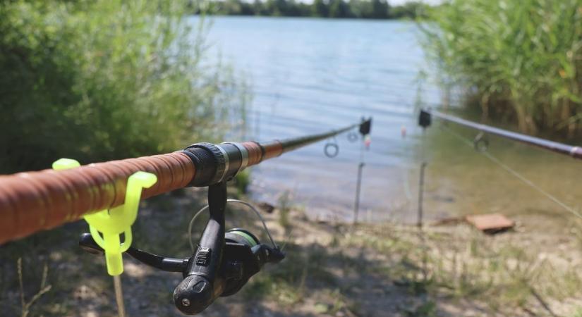 Nem hittek a szemüknek, mikor meglátták, milyen lények léptek ki az akácosból – augusztusi legek