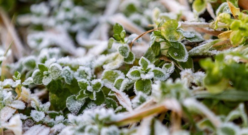 Derült ég, fagyos reggel: igazi téli arcát mutatja majd a hétfő