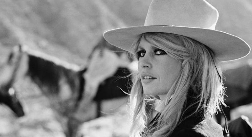 Brigitte Bardot hitvallásának minden sora megrendítő: a színésznő 91 évesen hunyt el