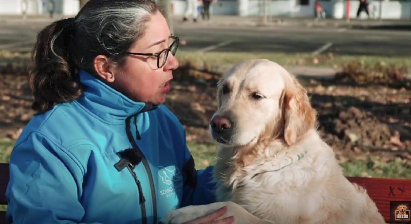 Hasznos kutyás eszközök a mindennapokra: ezúttal erről szól az EBizód új része – videóval