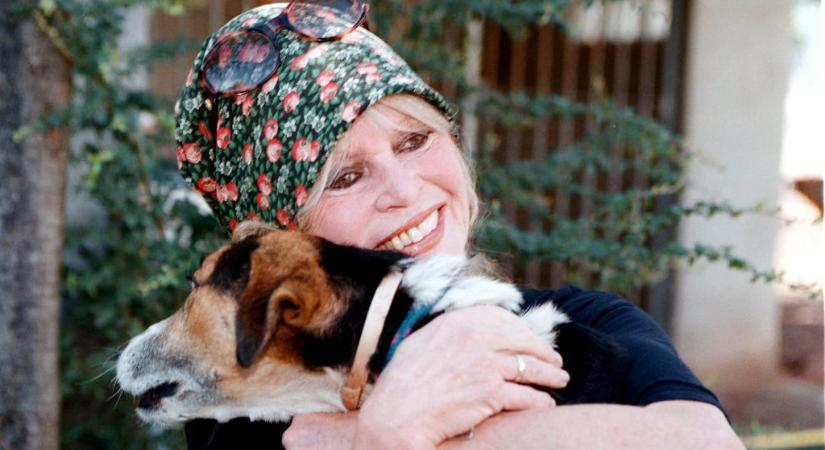 Ez volt az egyik utolsó videófelvétel Brigitte Bardot-ról