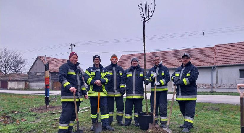 Nemzetközi kezdeményezéshez csatlakoztak a szili tűzoltók és fát ültettek