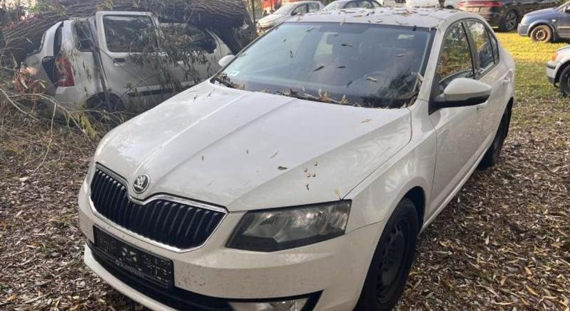 Három remek állapotú városi autóra csaphatsz le jutányos áron, mutatjuk a járgányokat - fotók