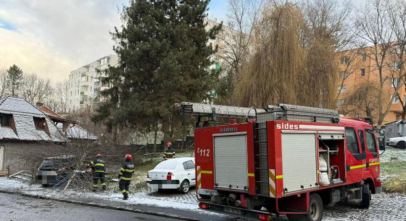 Tombol a szél Marosvásárhelyen: autóra és úttestre dőltek fák