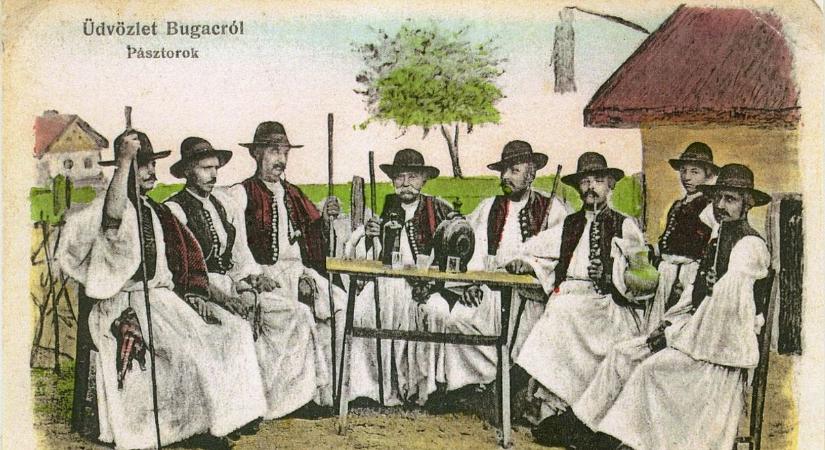 Még a sárga csikó lábára is korcsolyát húztak a jégrevüben