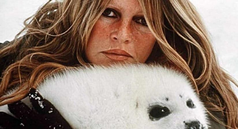 Brigitte Bardot – amikor a hírnév az állatok oldalára áll – Legyen könnyű neki a föld
