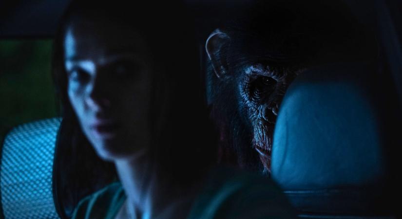 Játssz és NYERJ! 10 páros mozijegy keresi a gazdáját az Ősi ösztön című horrorfilm premier előtti vetítésére