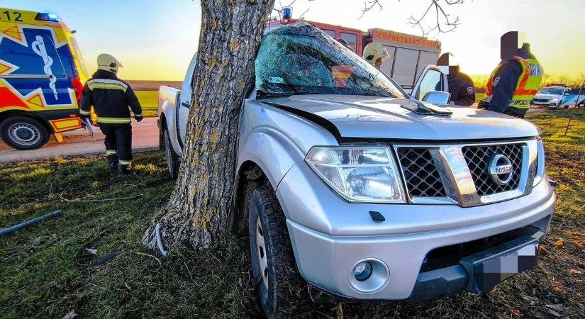 Fának csapódott egy autó Tamásinál, a sofőr súlyosan megsérült (helyszíni fotók)