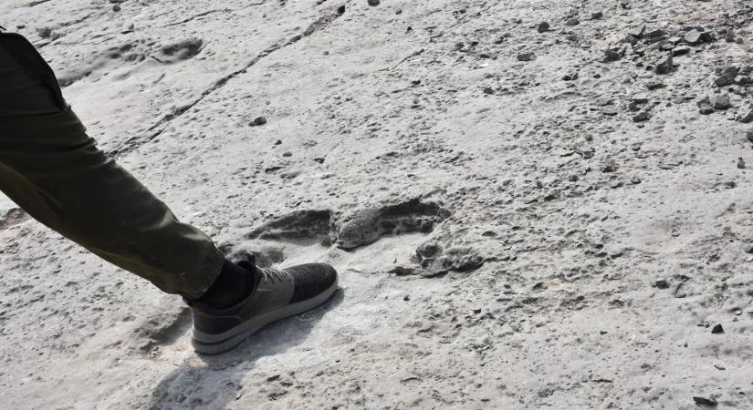 2025 nagy tudományos felfedezései