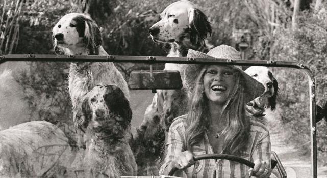 Brigitte Bardot – Elszállt egy szabad szellem