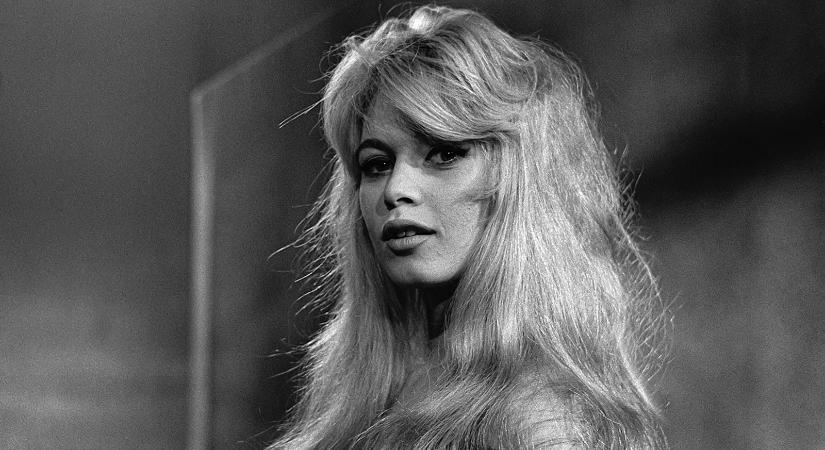 A bölcs szexszimbólum – Brigitte Bardot élete képekben