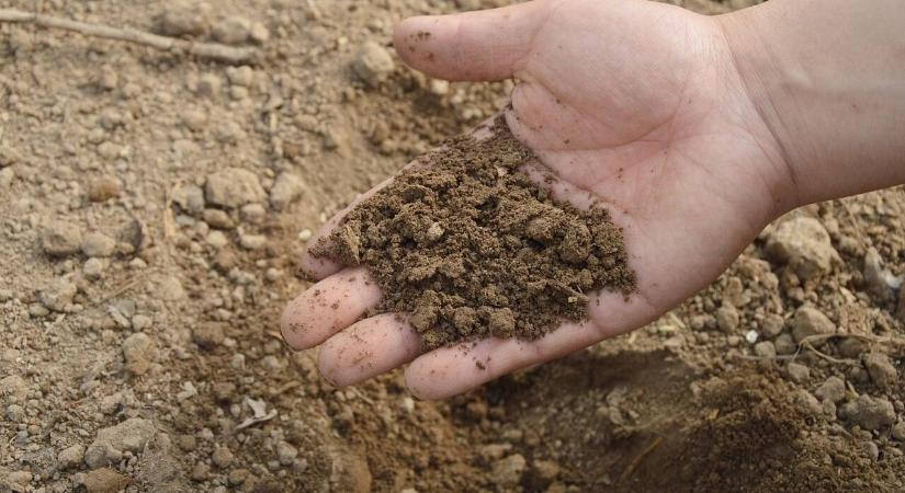 Decemberi talajvizsgálat és tápanyagtervezés – alapozza meg időben a jövő évi termést!