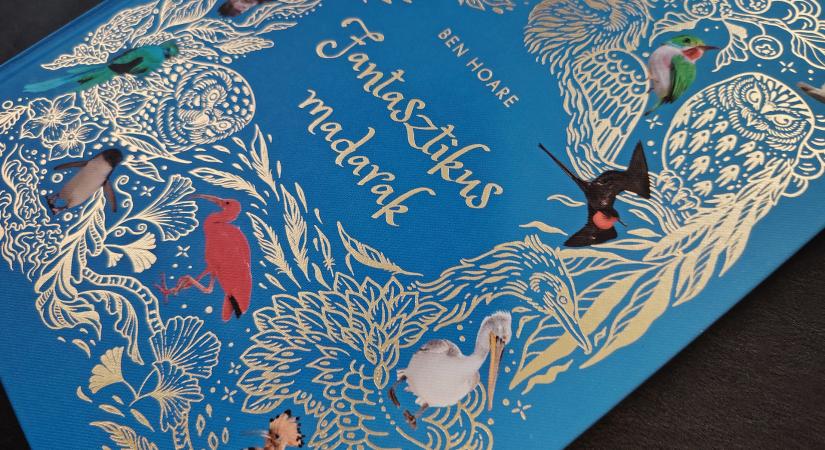 Közelebb juthatunk ahhoz, hogy a madarak miért tartoznak a Föld legfantasztikusabb lényei közé